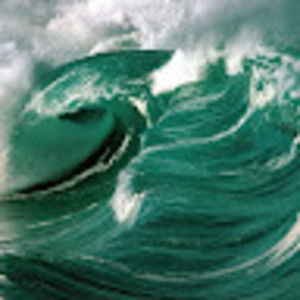 Meet your Posher, Kylie